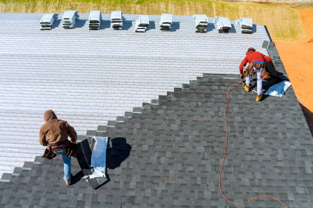 Roof Gutter Cleaning in Holly Hill, FL