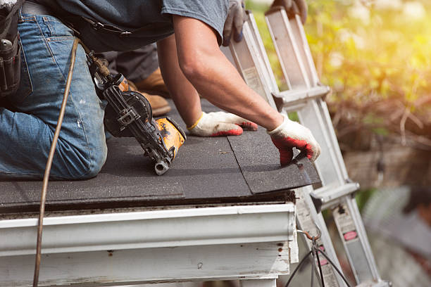 Best Residential Roof Replacement  in Holly Hill, FL